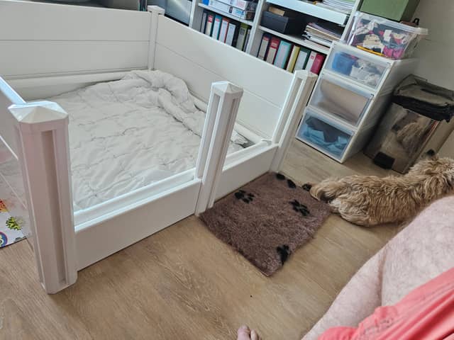 Vun Attilbrigga Cairn Terrier
