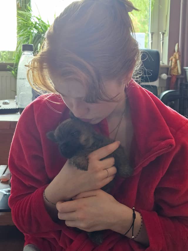 Vun Attilbrigga Cairn Terrier