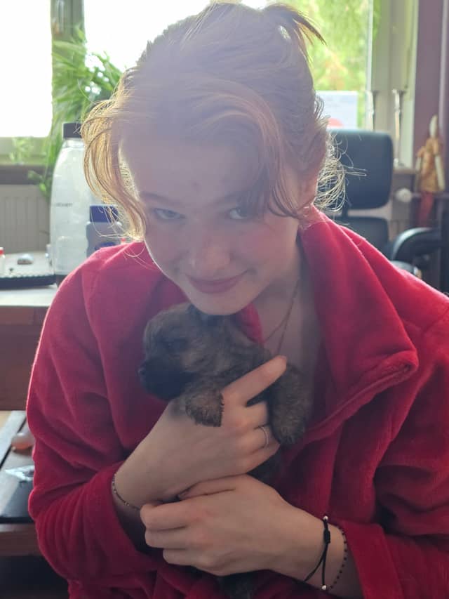 Vun Attilbrigga Cairn Terrier