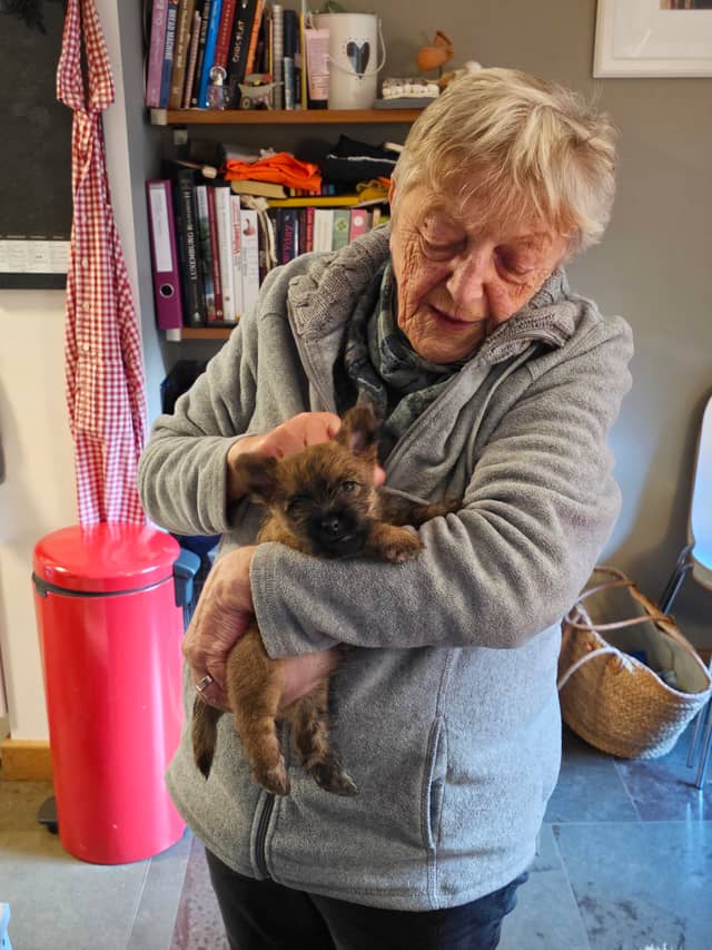 Vun Attilbrigga Cairn Terrier