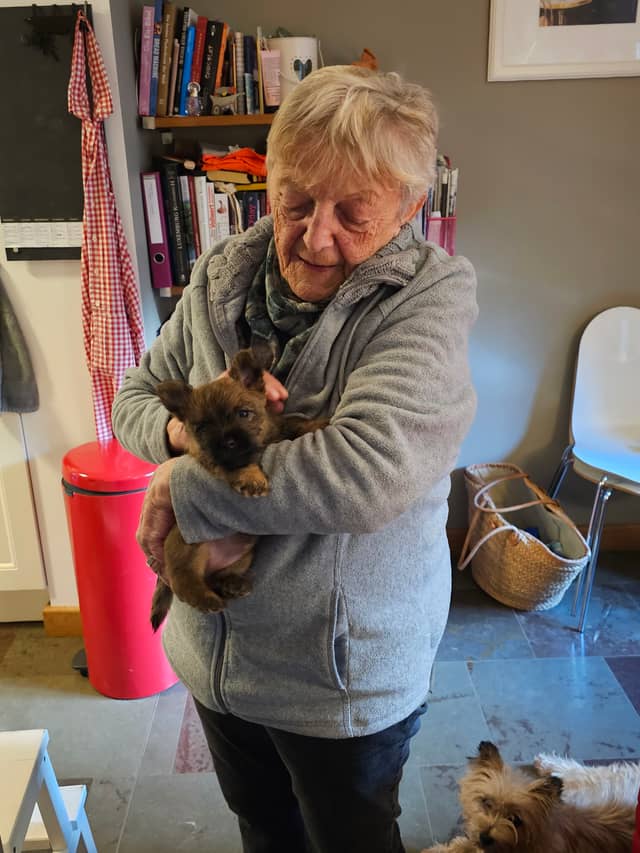 Vun Attilbrigga Cairn Terrier