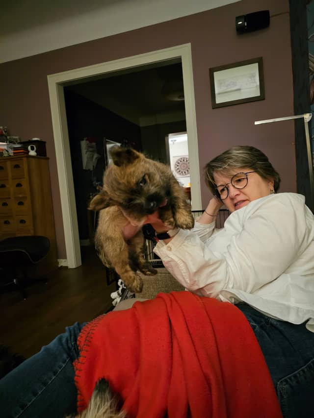 Vun Attilbrigga Cairn Terrier