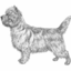 Cairn Terrier Förderverein