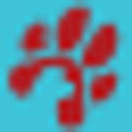 CTCA Health Foundation